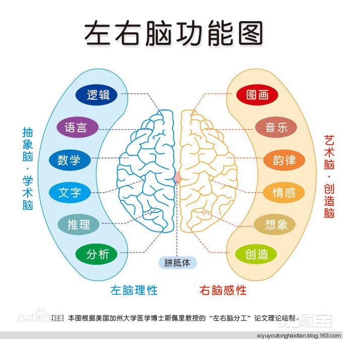 思维导图的概念及应用-观摩课