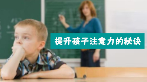 超级注意力网络班（共12讲）