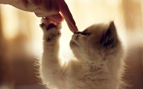 【情商训练】控制情绪，让烦恼迅速过期