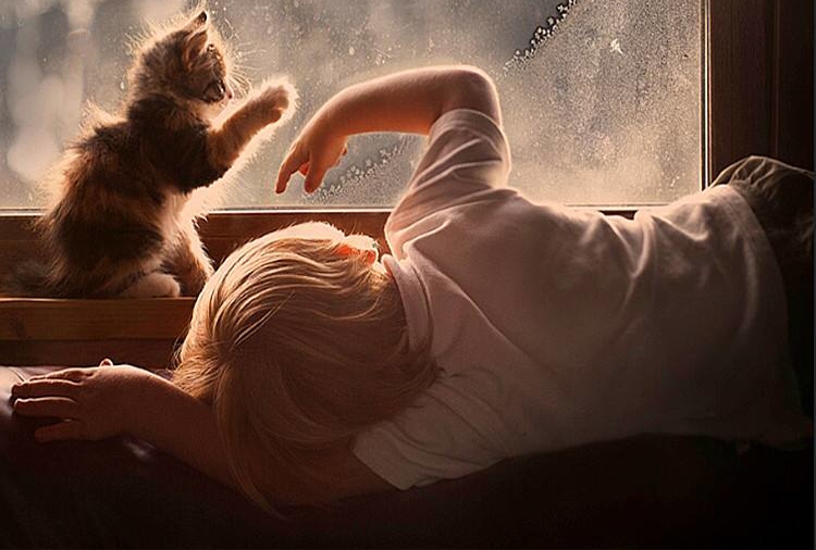 【情商训练】宽容多了，欢喜也就多了