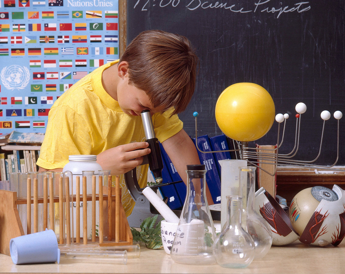 【注意力训练】李时珍在干什么？直接观察法